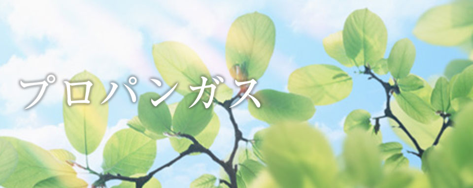 プロパンガス