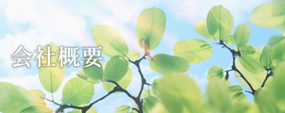 会社概要